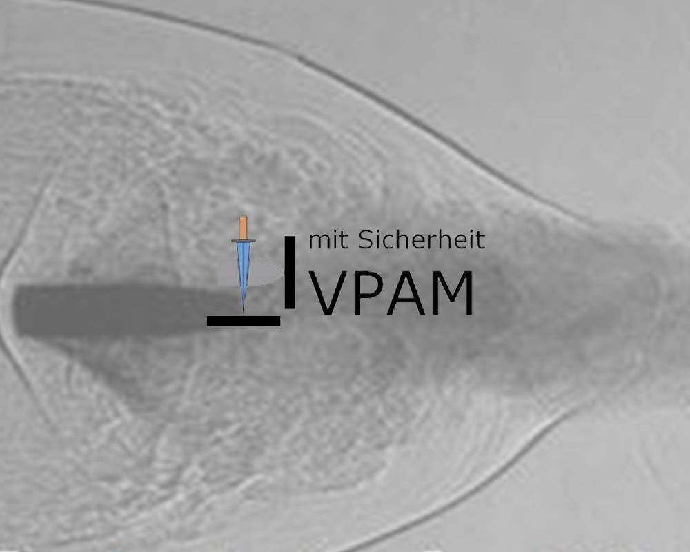 VPAM Logo